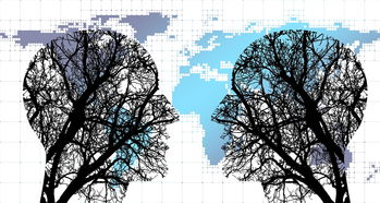 米兰体育报-体育新闻中心协同多方建立体育内容风控机制，体育新闻机构  第1张